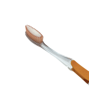 Brosse PHB Adulte Plus